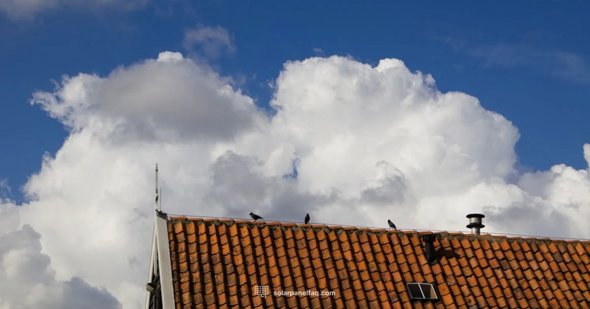 Solar Sustainability - Solar Panel FAQ