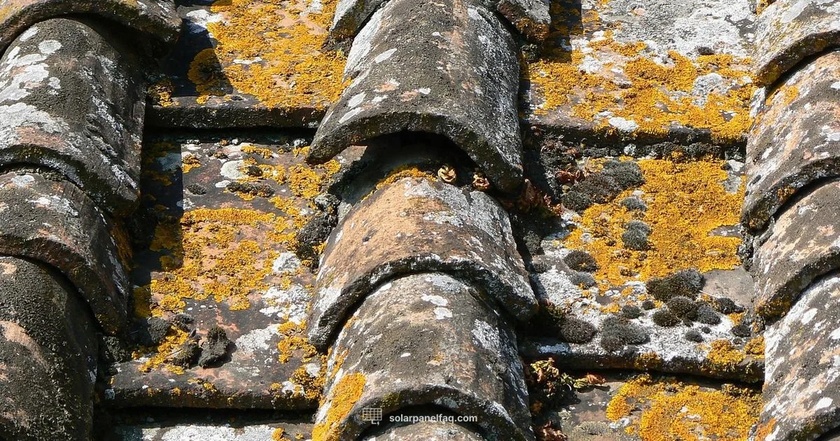 Solar Shingle Roof - Solar Panel FAQ