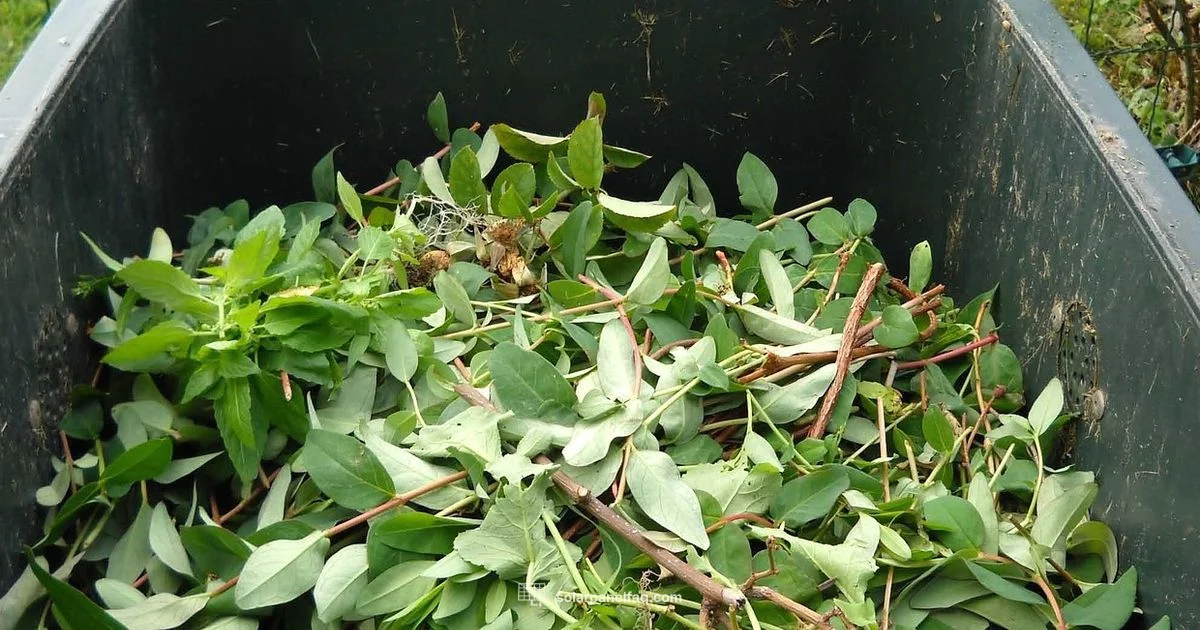 Solar Panel Disposal - Solar Panel FAQ