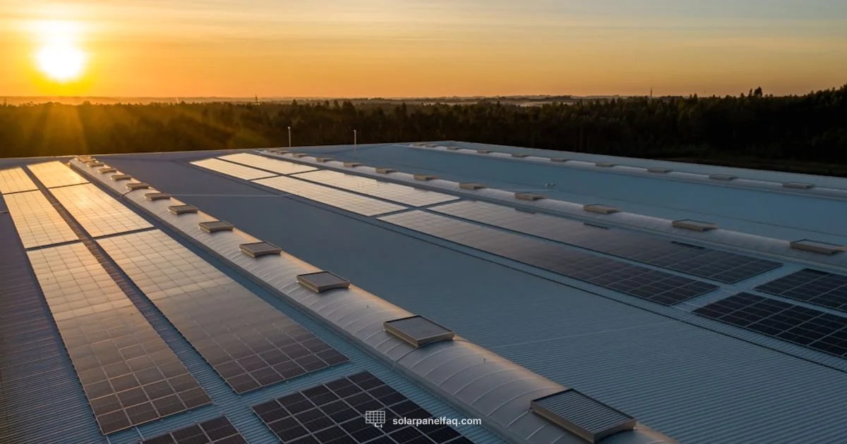 Panel Insurance Guide - Solar Panel FAQ