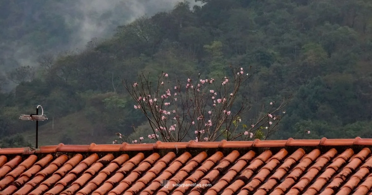 Solar Roof Guide - Solar Panel FAQ