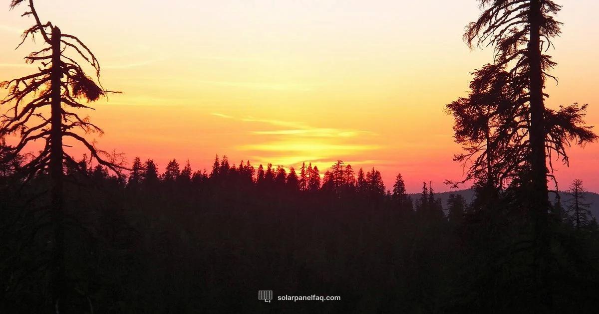 Top CA Solar Installers Top CA Solar Installers - Solar Panel FAQ