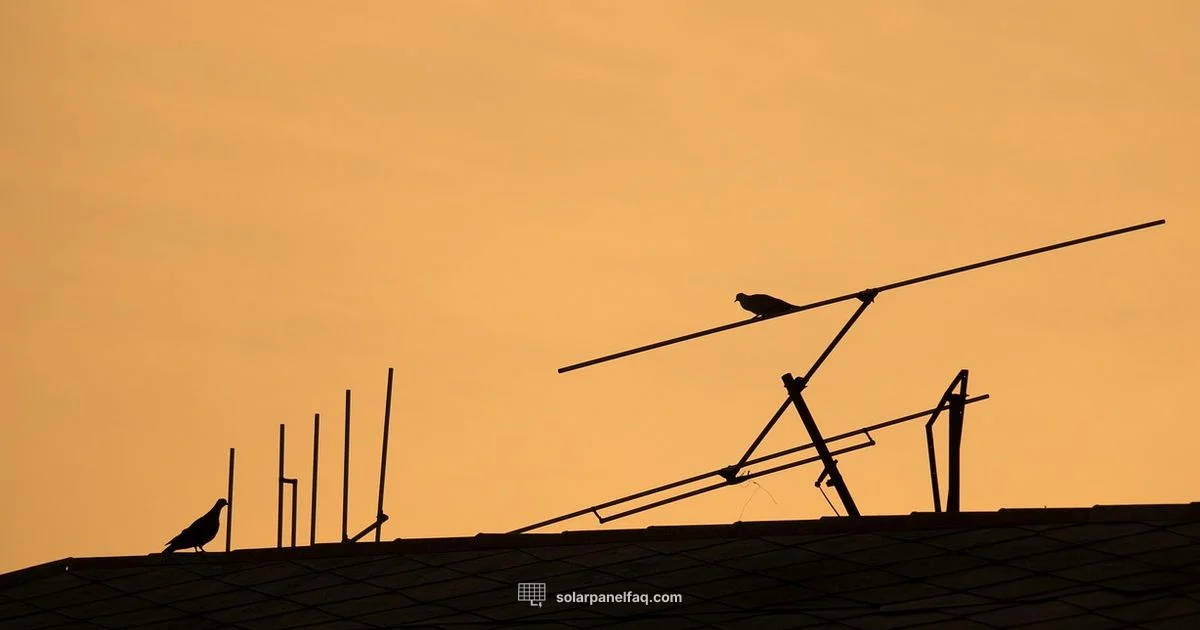 Replace or Reuse? - Solar Panel FAQ