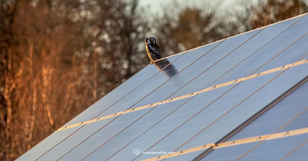 Tilt Angle Guide - Solar Panel FAQ