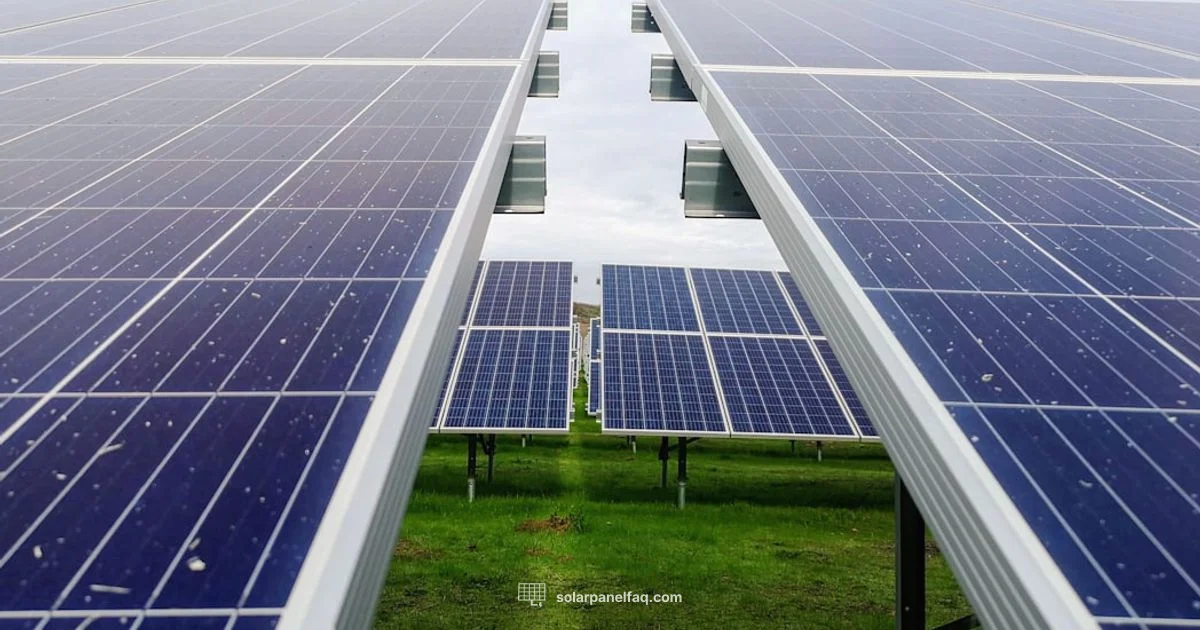 Renewsys vs Adani - Solar Panel FAQ