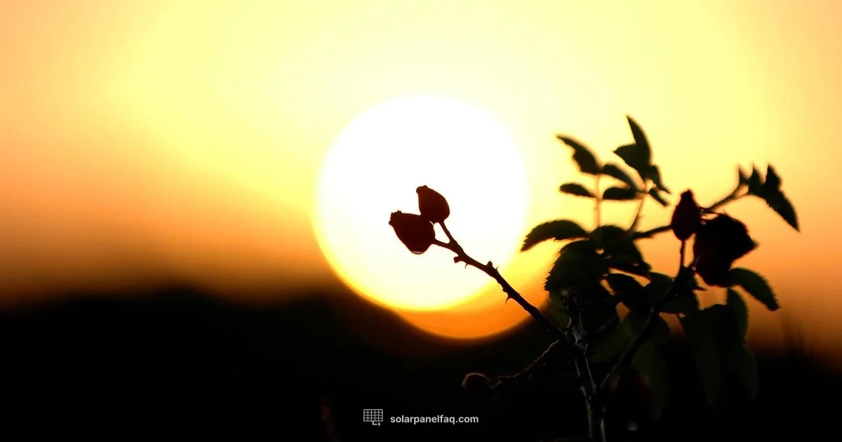 Solar ROI Guide - Solar Panel FAQ