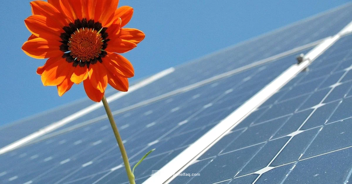 Solar Energy Essentials Solar Energy Essentials - Solar Panel FAQ