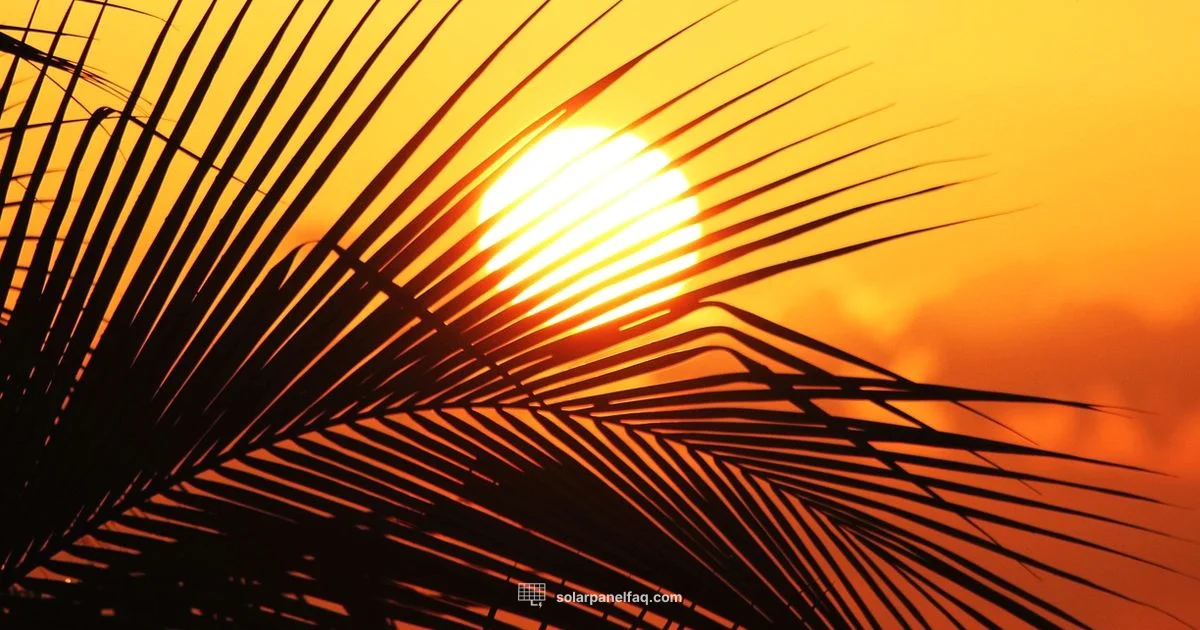 Jamaica Solar Guide - Solar Panel FAQ