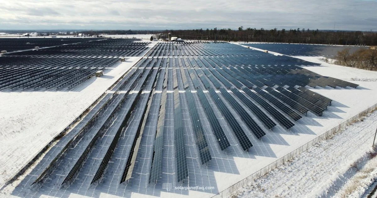 Freedom Forever Solar - Solar Panel FAQ