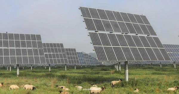 Opposing Solar Farms - Solar Panel FAQ