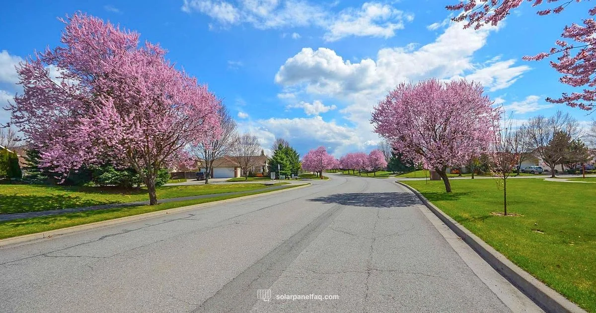 Subsidy Guide for Homeowners - Solar Panel FAQ