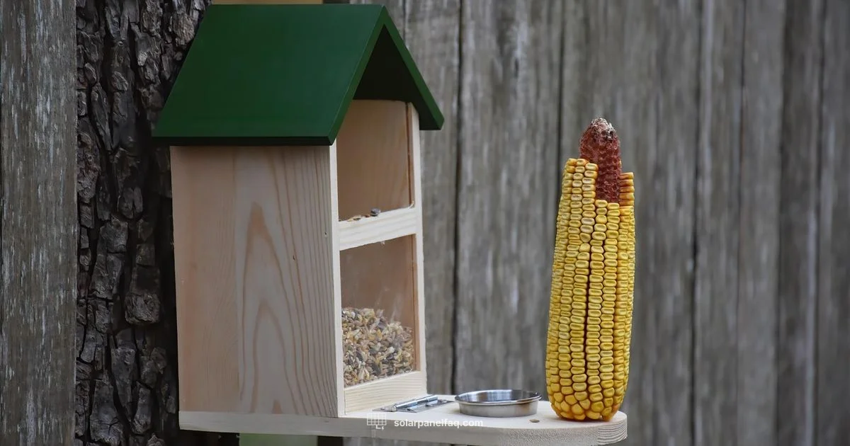 Solar-Powered Feeder - Solar Panel FAQ