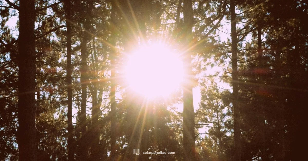 Regulated Solar Setup - Solar Panel FAQ