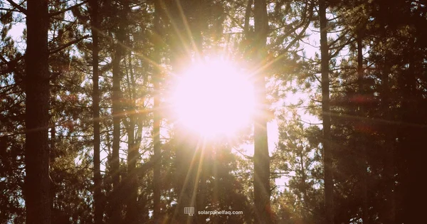 Regulated Solar Setup - Solar Panel FAQ