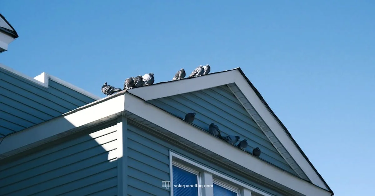 Price Guide - Solar Panel FAQ