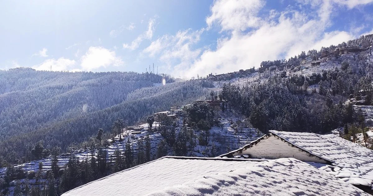 Snowy Panel Care Snowy Panel Care - Solar Panel FAQ