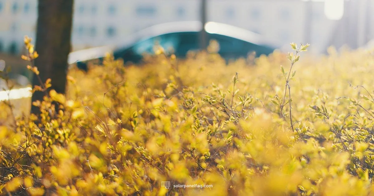 Smartflower Solar Guide - Solar Panel FAQ