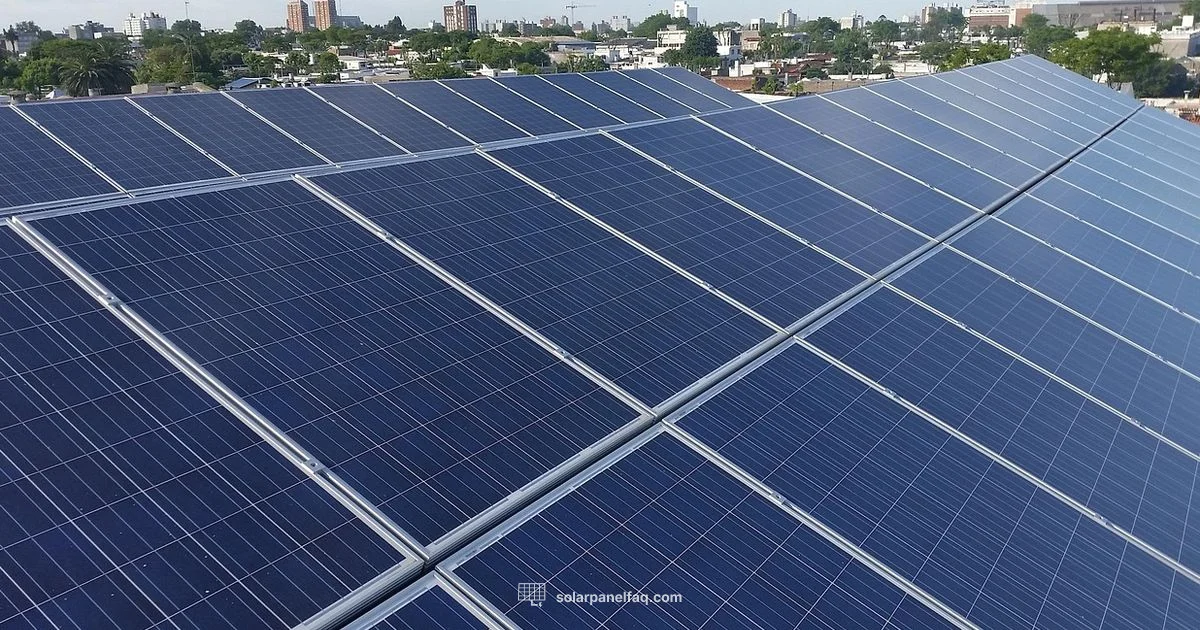 Single Panel Cost Single Panel Cost - Solar Panel FAQ