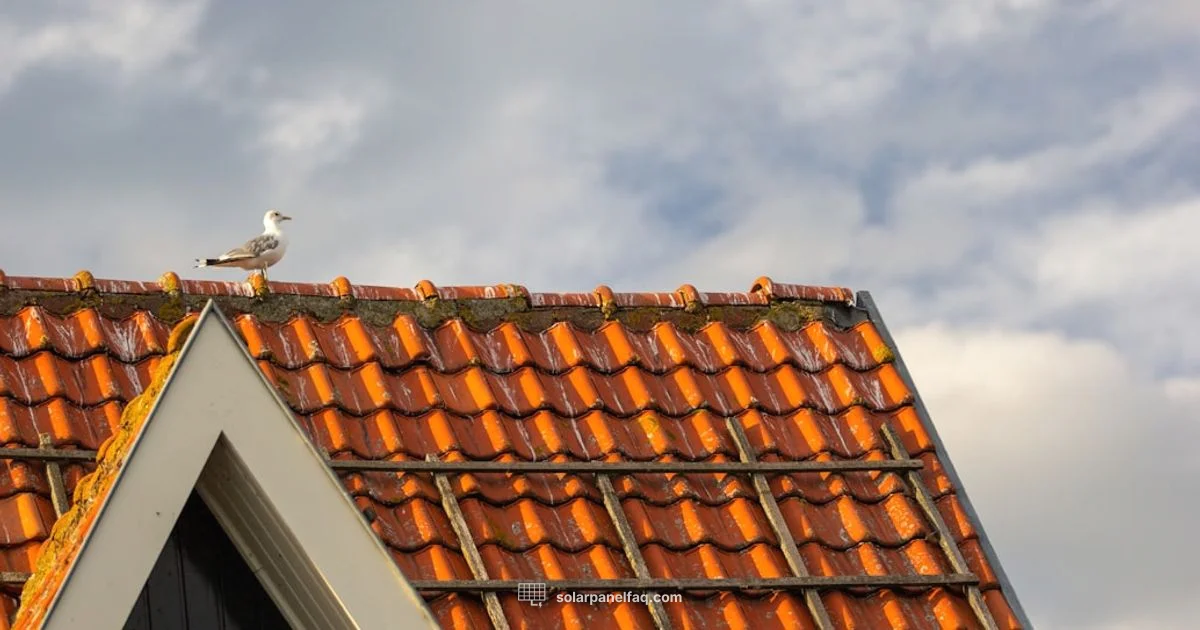 Sun Power Overview Sun Power Overview - Solar Panel FAQ