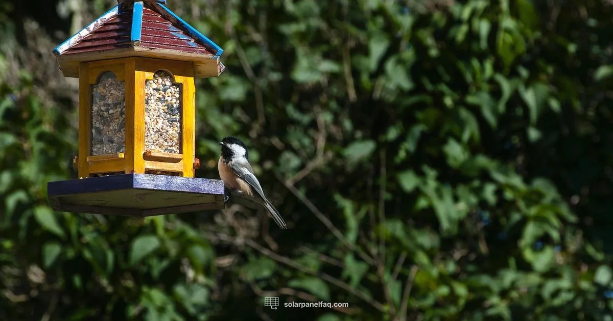 Solar Bird Feeder - Solar Panel FAQ