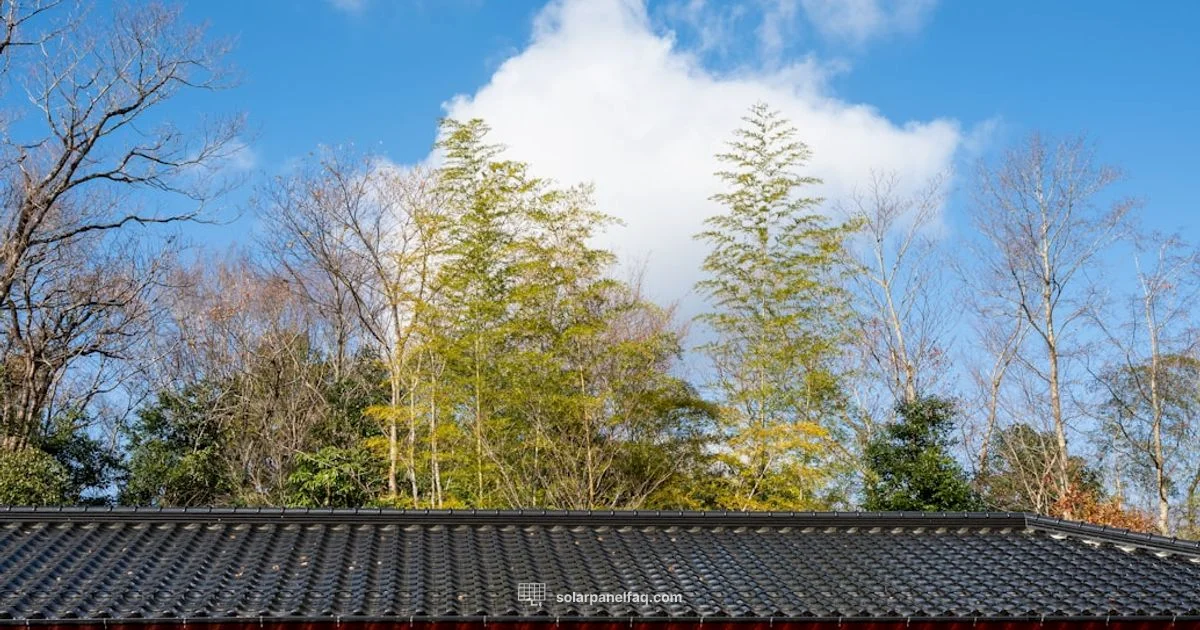 Home Solar Guide - Solar Panel FAQ