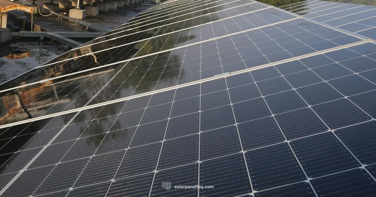 Solar Payback Solar Payback - Solar Panel FAQ