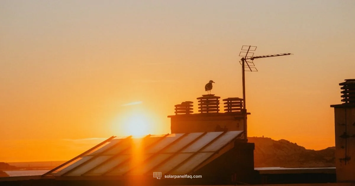 PV vs Panel - Solar Panel FAQ