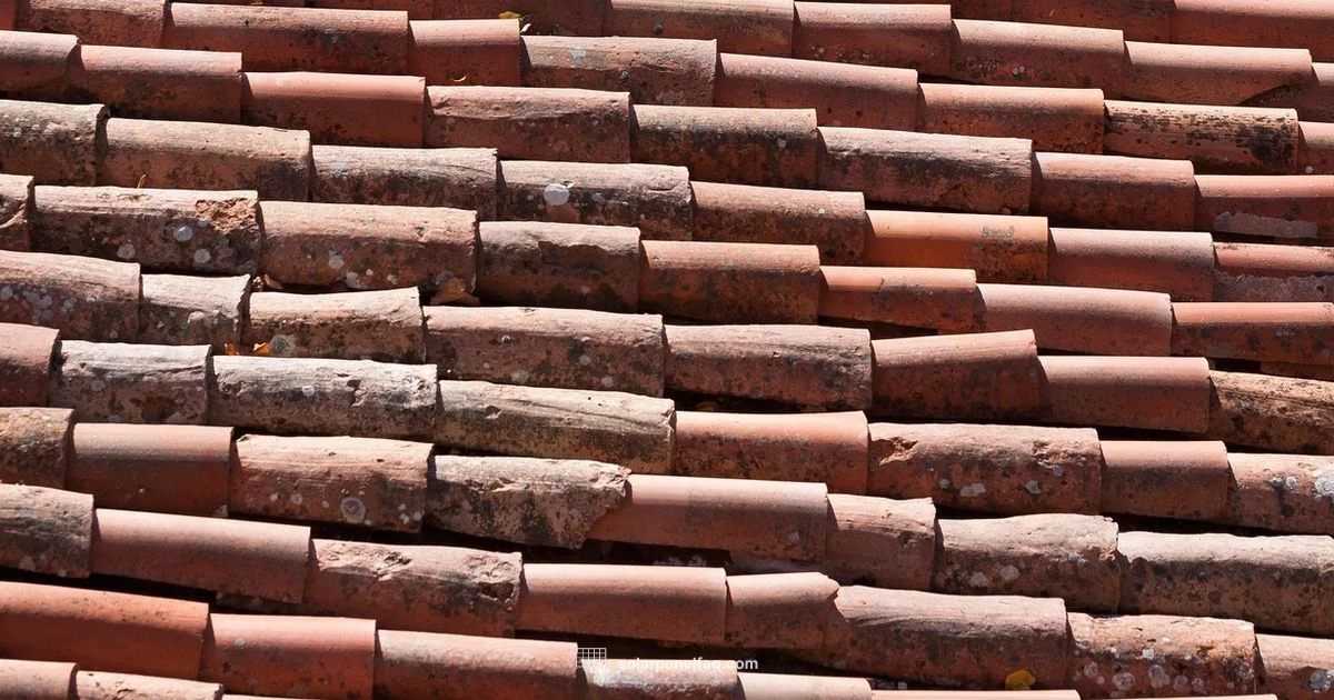 Solar Home Energy Guide - Solar Panel FAQ