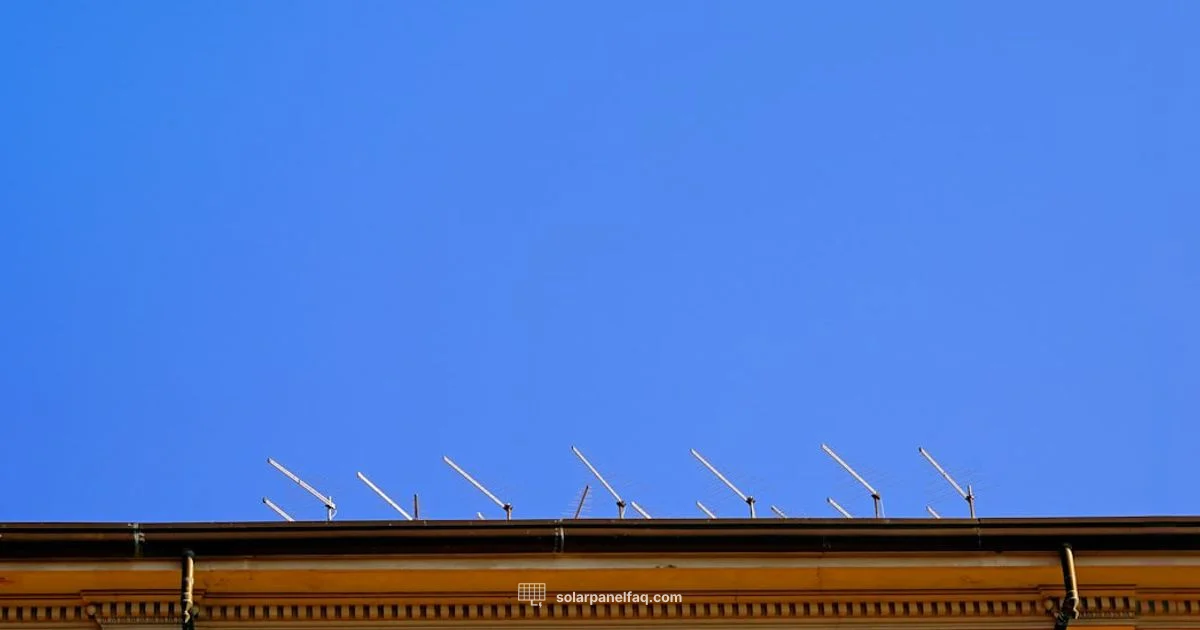 Panel Dimensions Panel Dimensions - Solar Panel FAQ