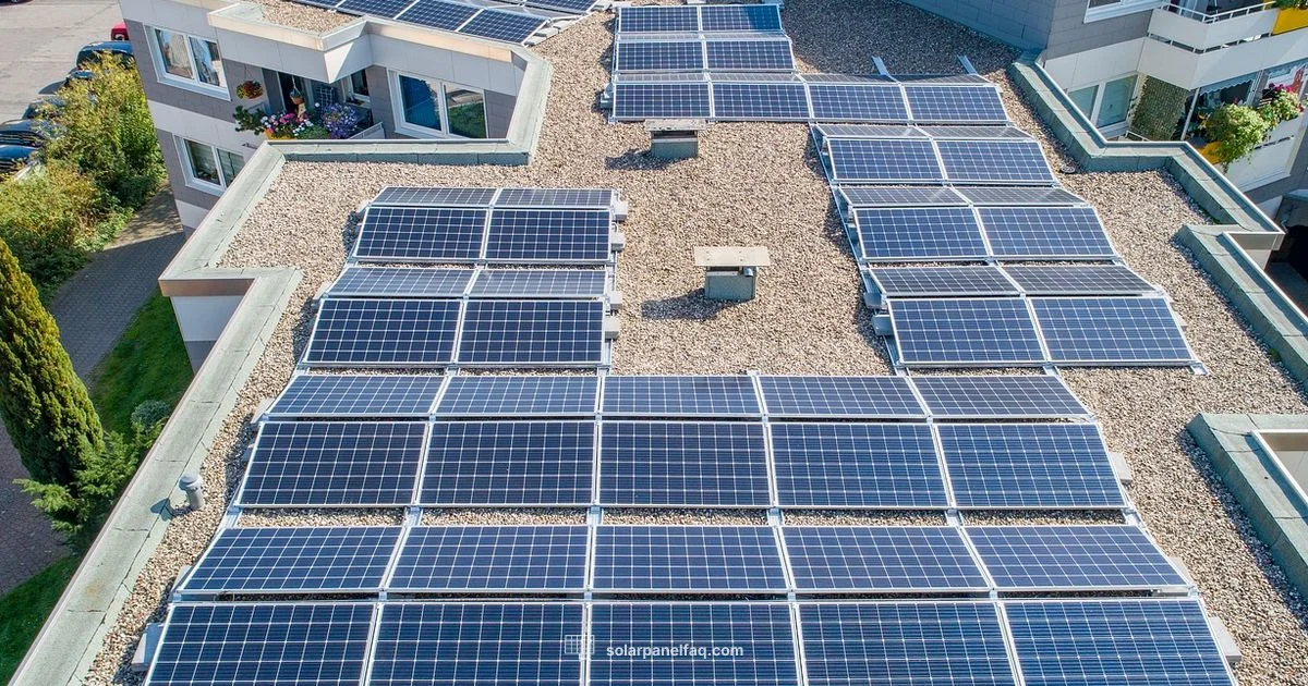 Lifespan in Florida - Solar Panel FAQ