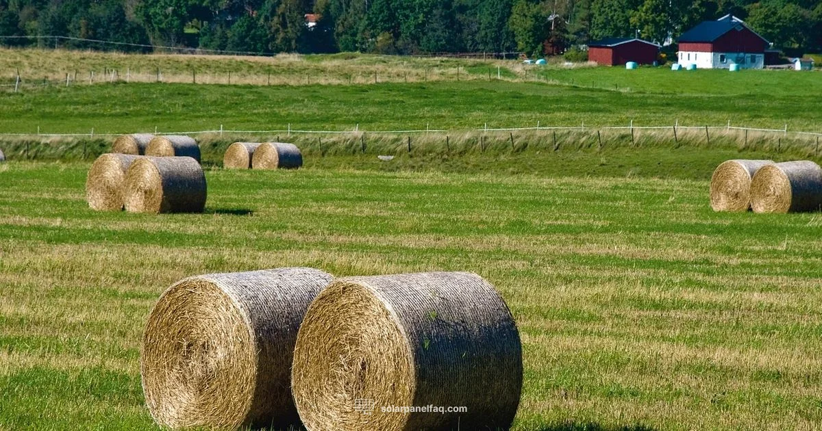 Off-Grid Solar Setup - Solar Panel FAQ