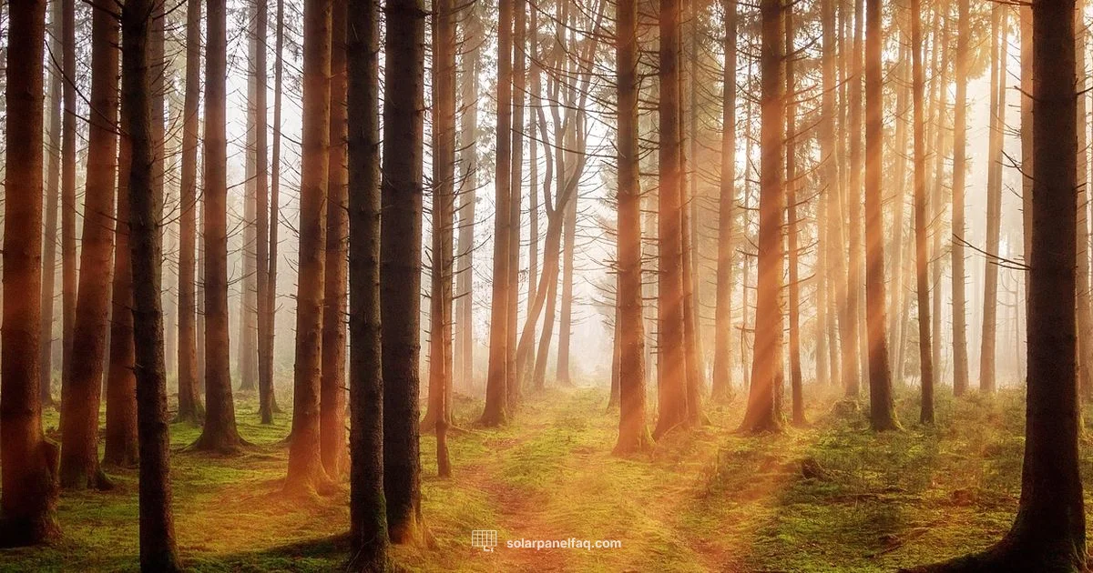 Solar Power Basics - Solar Panel FAQ